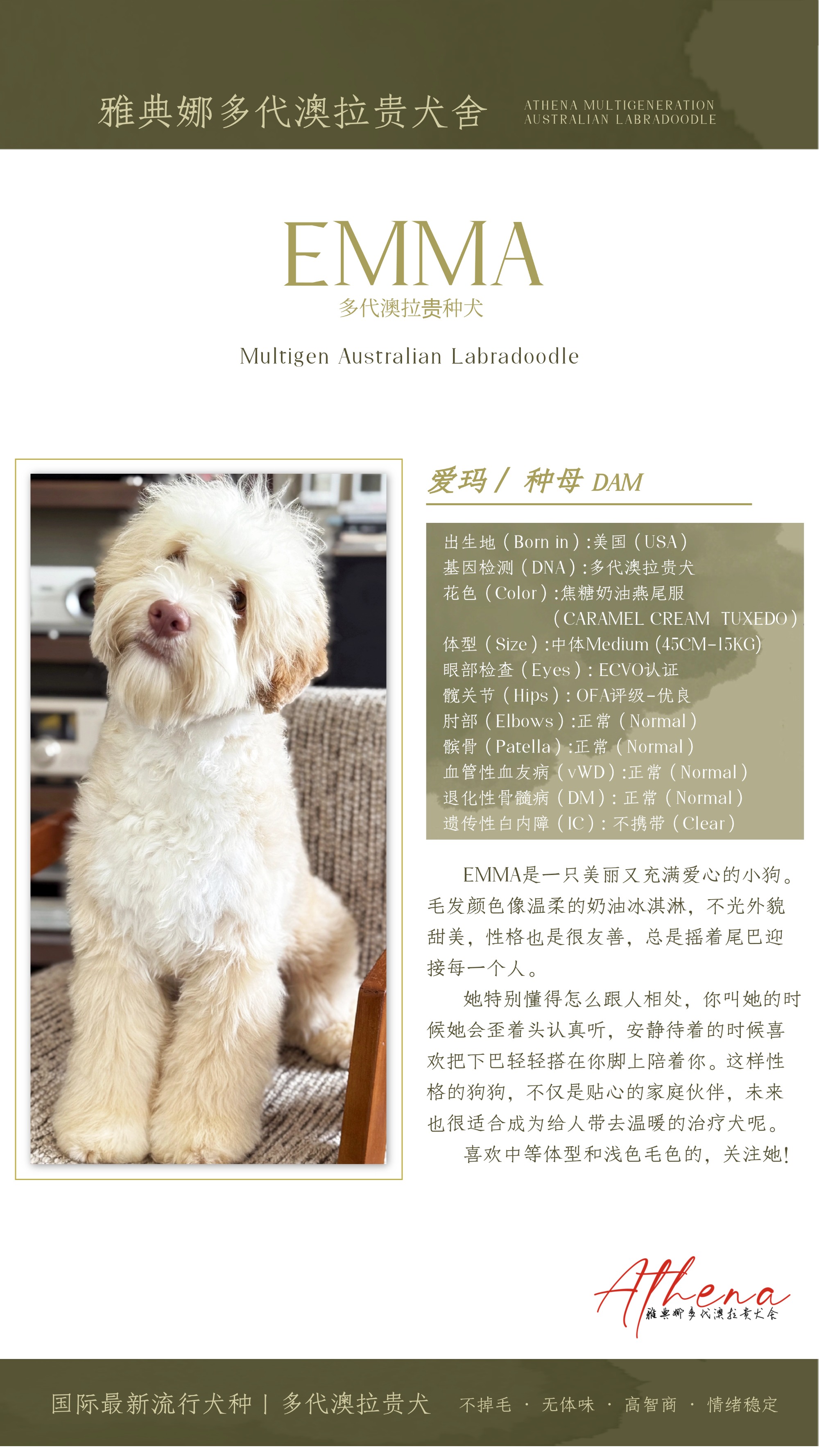 稿定设计-8.jpg