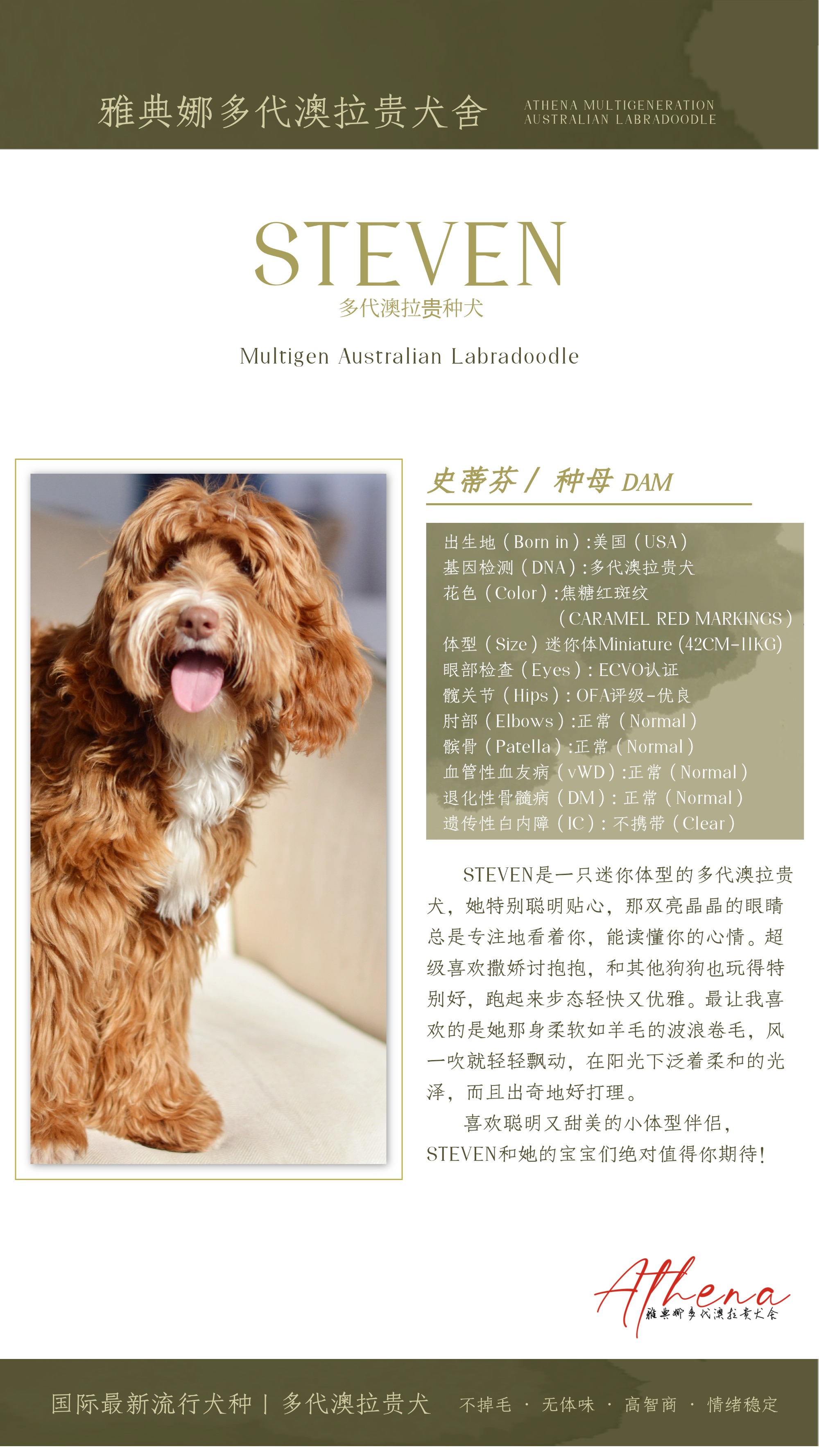 稿定设计-9.jpg