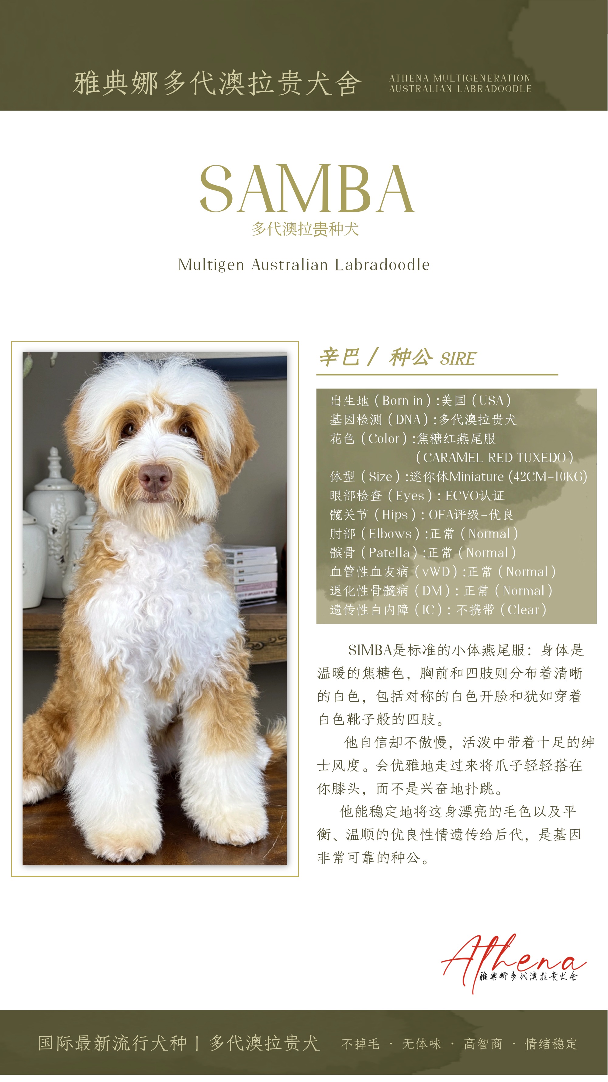 稿定设计-3.jpg